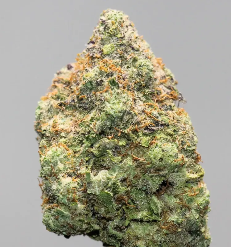 Biscotti Cookies - 31.20% THC | 4oz Bulk Deal For $180 | Same-Day Ottawa Delivery photo 1