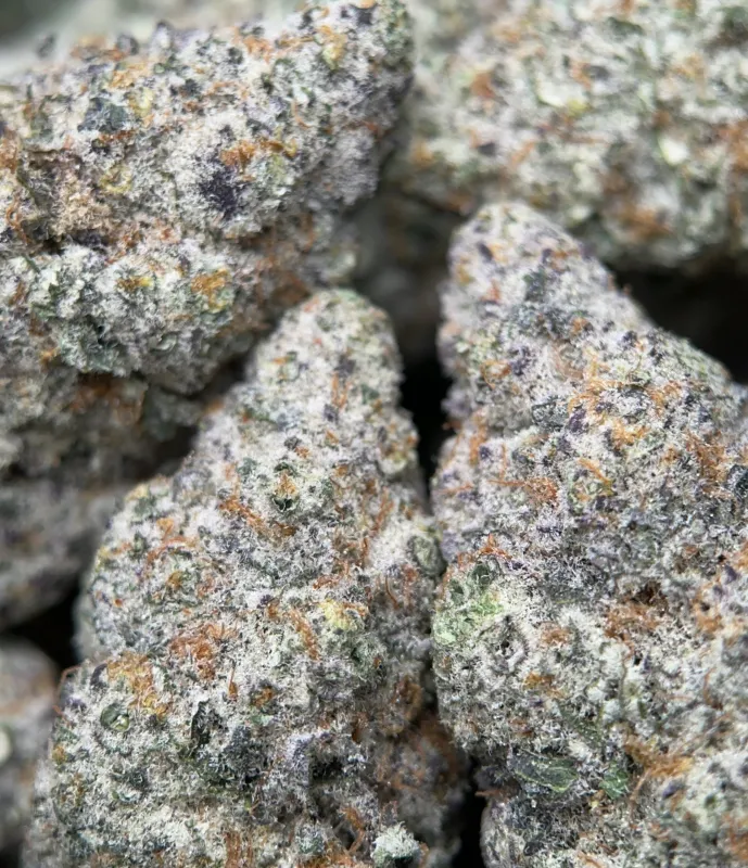 Watermelon Zkittlez Haze photo 5
