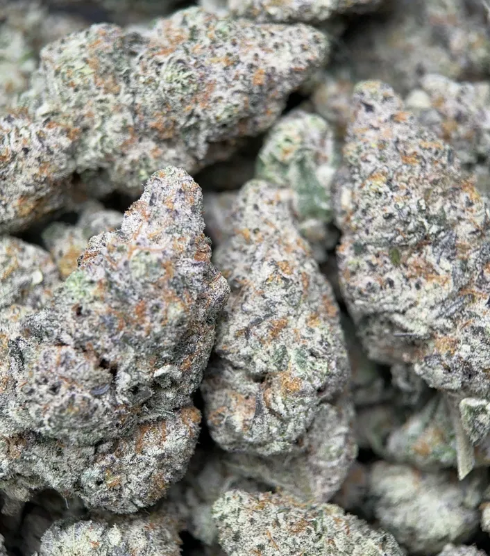 Watermelon Zkittlez Haze photo 6