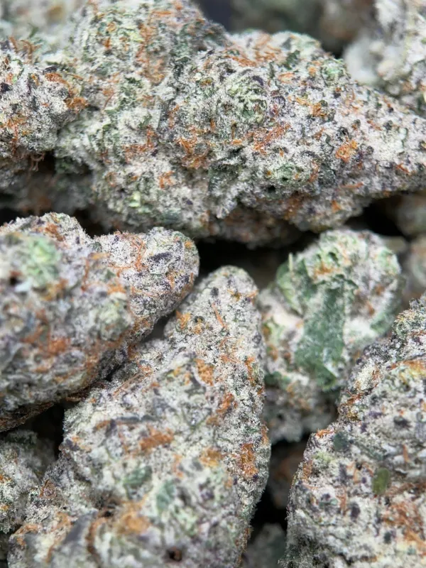 Watermelon Zkittlez Haze photo 7