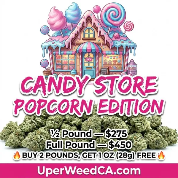 Candy Store