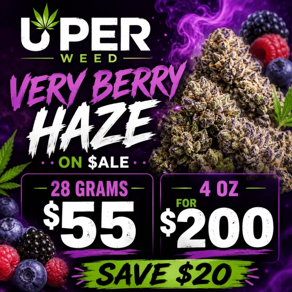 Berry Haze