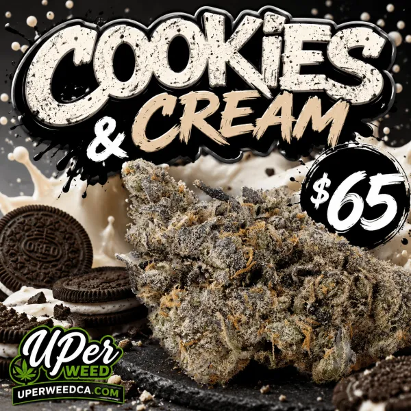 Cookies & Cream