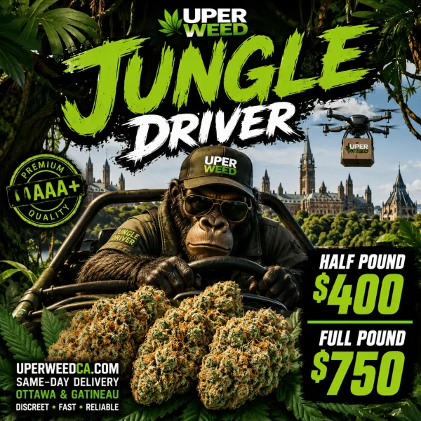 Jungle Driver