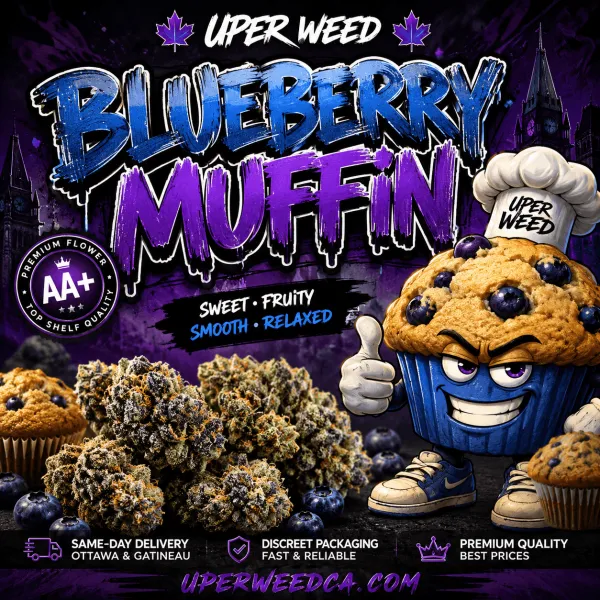 blueberry muffin