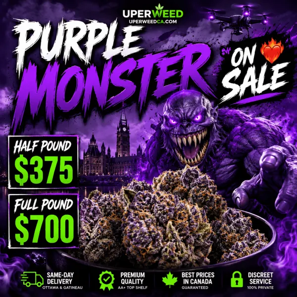 Purple Monster
